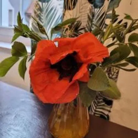 Alte Faerberei - Wohnen In Der Altstadt Apartment Kulmbach